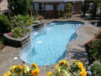 viking valencia seattle swimming pool contractor